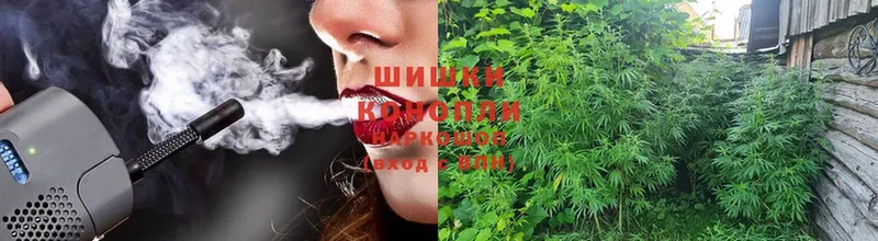 маркетплейс как зайти  Луза  Бошки марихуана THC 21% 